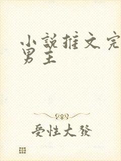 小说推文完结双男主