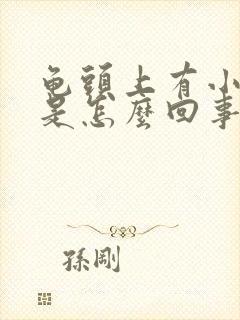 龟头上有小疙瘩是怎么回事小红疙瘩封面