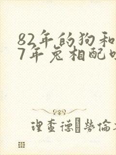 82年的狗和87年兔相配吗