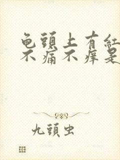 龟头上有红点点不痛不痒是什么原因封面