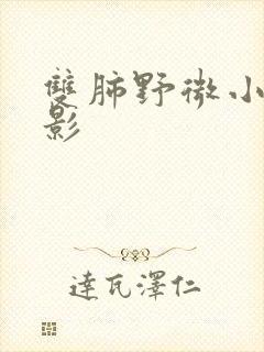 双肺野微小结节影