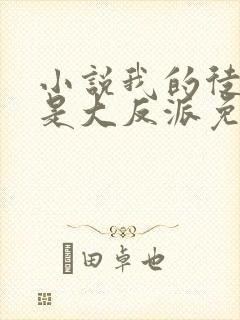 小说我的徒弟都是大反派免费完本