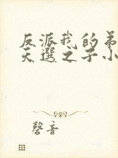 反派我的弟弟是天选之子小说