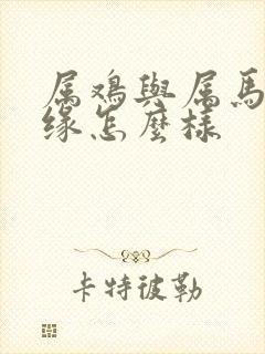 属鸡与属马的姻缘怎么样