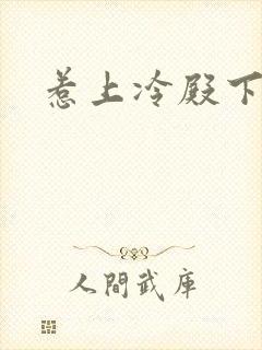 惹上冷殿下评价