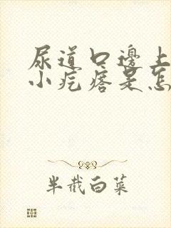 尿道口边上有个小疙瘩是怎么回事封面