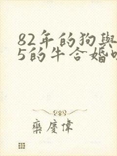 82年的狗与85的牛合婚吗封面
