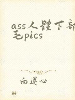 ass人体下部毛pics