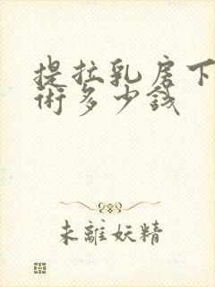 提拉乳房下垂手术多少钱