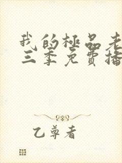 我的极品老婆第三季免费播放电视剧