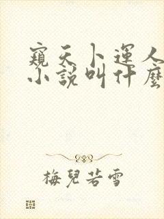 窥天卜运人原著小说叫什么名字