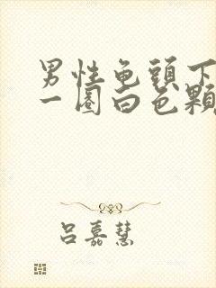 男性龟头下面有一圈白色颗粒