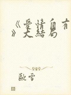 《爱情自有天意》大结局封面