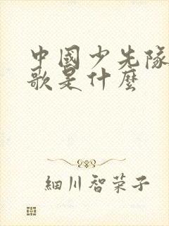 中国少先队的队歌是什么封面