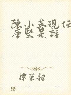 陈小英现任丈夫唐坚是谁