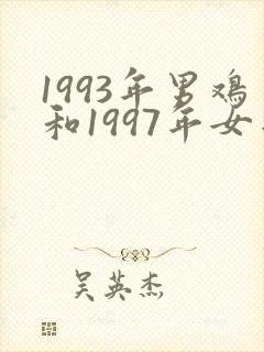1993年男鸡和1997年女牛结婚好吗