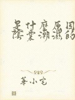 是什么原因导致阴囊潮湿的