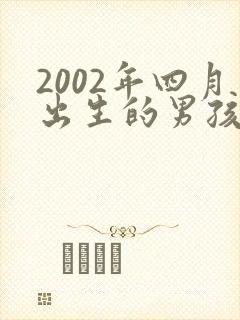2002年四月出生的男孩命运封面