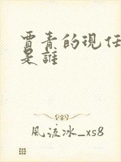 贾青的现任丈夫是谁