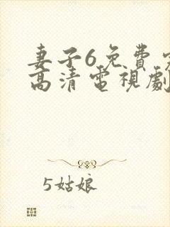 妻子6免费完整高清电视剧