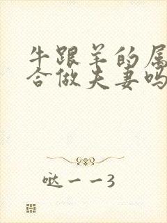 牛跟羊的属相适合做夫妻吗封面