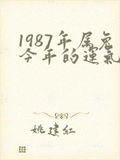 1987年属兔今年的运气怎么样