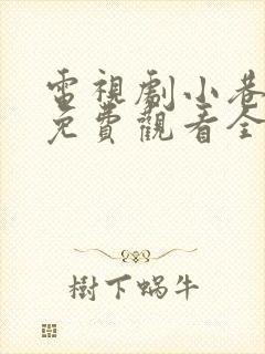 电视剧小巷人家免费观看全集高清封面