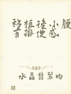 移植后小腹下坠有排便感