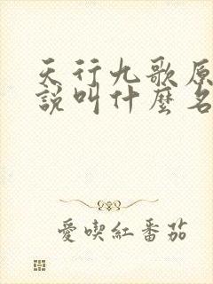 天行九歌原著小说叫什么名字封面