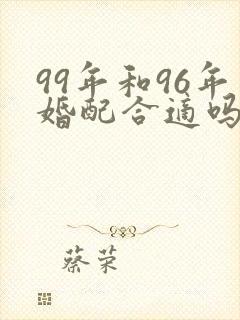 99年和96年婚配合适吗封面