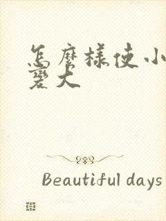 怎么样使小弟弟变大封面