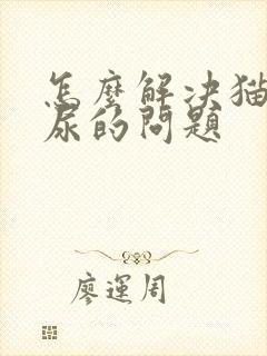 怎么解决猫咪乱尿的问题