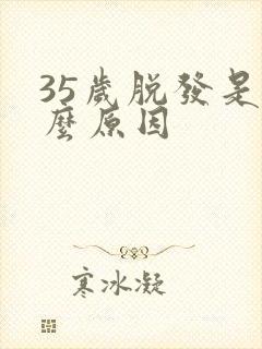 35岁脱发是什么原因