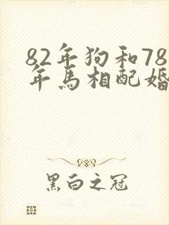 82年狗和78年马相配婚姻如何