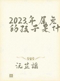 2023年属兔的孩子是什么命