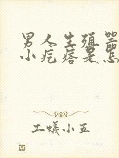 男人生殖器上长小疙瘩是怎么回事