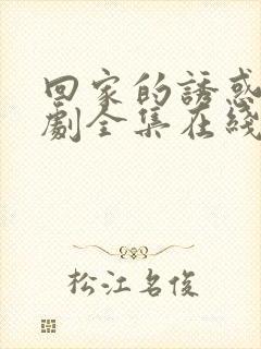 回家的诱惑电视剧全集在线观看免费封面