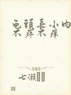 龟头长小肉疙瘩不疼不痒