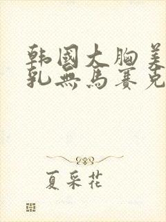 韩国大胸美女露乳无马赛克