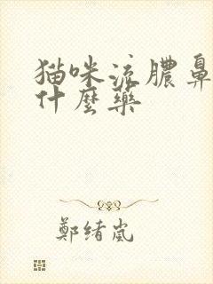 猫咪流脓鼻涕吃什么药