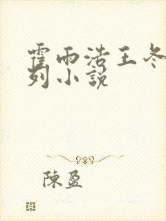 霍雨浩王冬儿系列小说