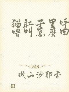 猫肚子里呼噜呼噜叫怎么回事?