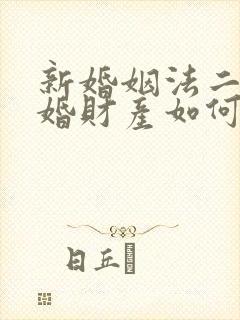 新婚姻法二婚离婚财产如何分割