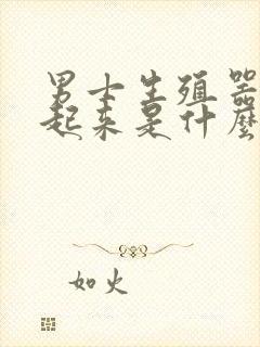 男士生殖器硬不起来是什么原因