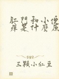 肛门和小便中间痒是什么原因封面