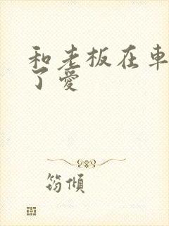 和老板在车里做了爱