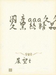 国产aaa久久久黑丝精品