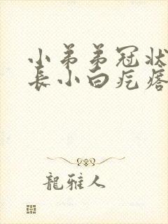 小弟弟冠状沟上长小白疙瘩