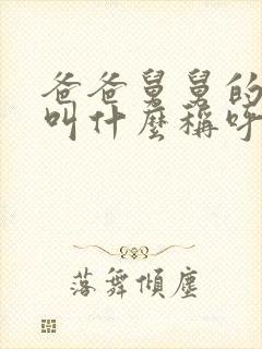 爸爸舅舅的儿子叫什么称呼