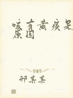 咳有黄痰是什么原因